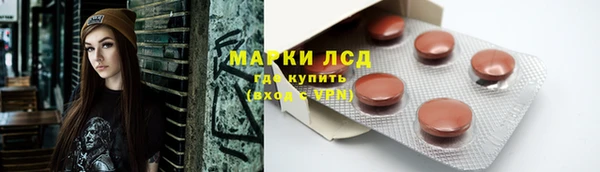 Альфа ПВП Гусев