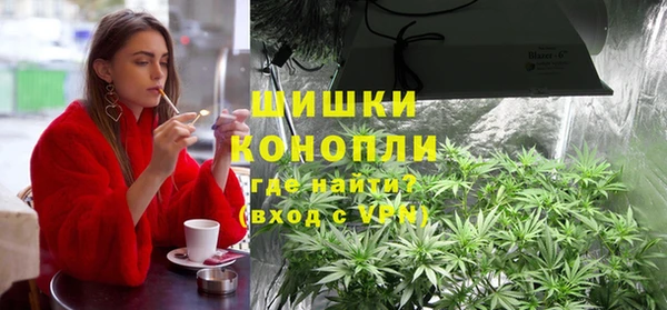 Альфа ПВП Гусев