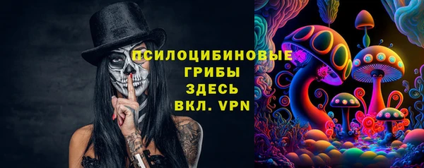 альфа пвп Гусь-Хрустальный