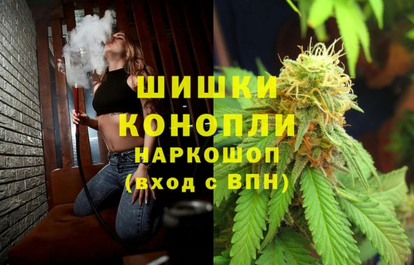 Альфа ПВП Гусев