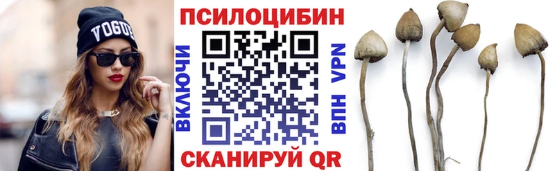 Галлюциногенные грибы GOLDEN TEACHER  Купить  Пошехонье 